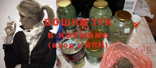 индика Верхний Тагил