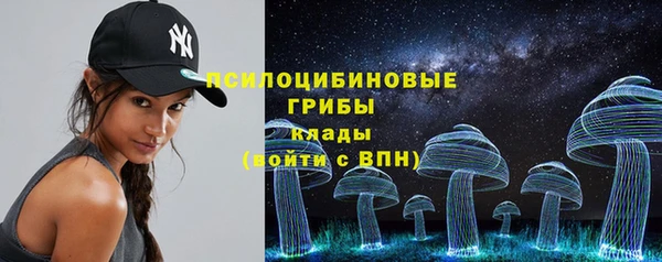 сатива Тында