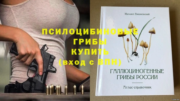 сатива Тында