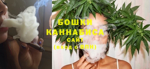 дживик Тутаев