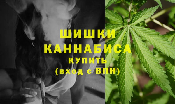 сатива Тында