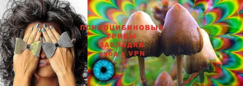 Псилоцибиновые грибы MAGIC MUSHROOMS  Чишмы 