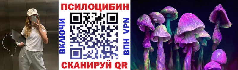 где найти   Чишмы  kraken как зайти  Галлюциногенные грибы Psilocybine cubensis 