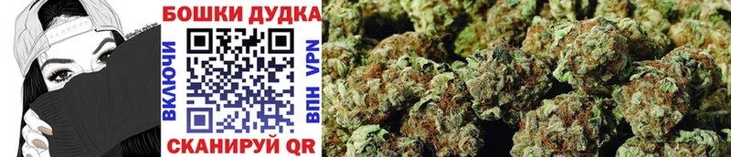 Бошки Шишки семена Чишмы